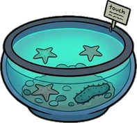 Pet beds and homes, a sticker from the The Night Aquarium world