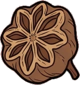 Collectibles, a sticker from the Witch Workshop world